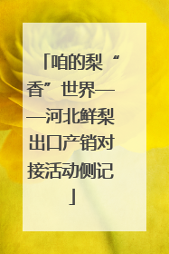 咱的梨“香”世界——河北鲜梨出口产销对接活动侧记