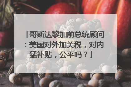 哥斯达黎加前总统顾问：美国对外加关税，对内猛补贴，公平吗？