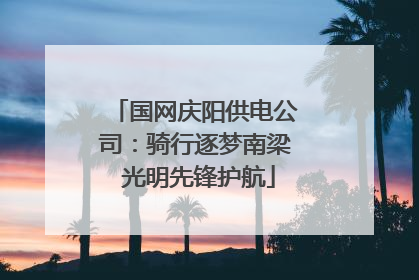 国网庆阳供电公司：骑行逐梦南梁 光明先锋护航
