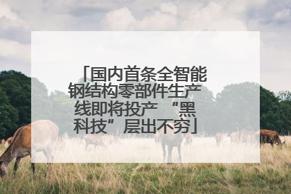 国内首条全智能钢结构零部件生产线即将投产 “黑科技”层出不穷