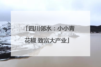 四川邻水：小小青花椒 致富大产业