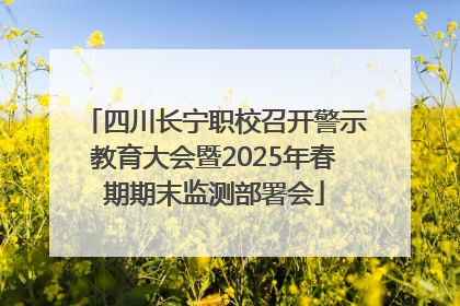 四川长宁职校召开警示教育大会暨2025年春期期末监测部署会