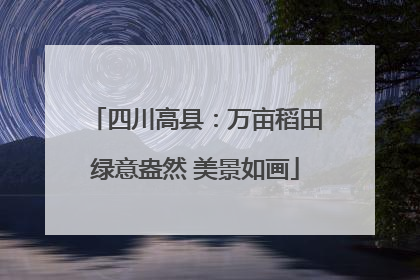 四川高县：万亩稻田绿意盎然 美景如画