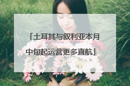 土耳其与叙利亚本月中旬起运营更多直航