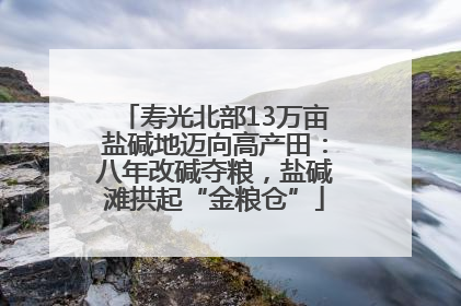 寿光北部13万亩盐碱地迈向高产田：八年改碱夺粮，盐碱滩拱起“金粮仓”