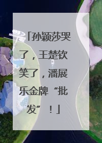 孙颖莎哭了，王楚钦笑了，潘展乐金牌“批发”！