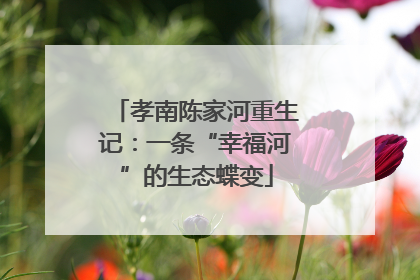 孝南陈家河重生记：一条“幸福河”的生态蝶变
