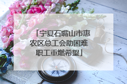 宁夏石嘴山市惠农区总工会助困难职工重燃希望