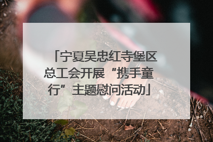 宁夏吴忠红寺堡区总工会开展“携手童行”主题慰问活动