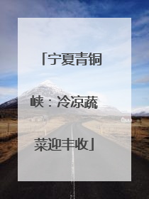 宁夏青铜峡：冷凉蔬菜迎丰收