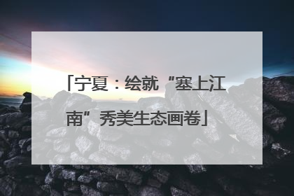宁夏：绘就“塞上江南”秀美生态画卷