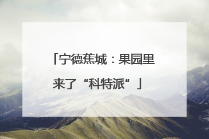 宁德蕉城：果园里来了“科特派”