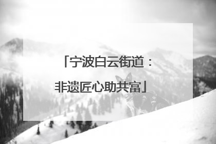 宁波白云街道：非遗匠心助共富