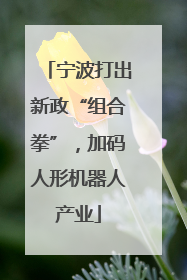 宁波打出新政“组合拳”，加码人形机器人产业