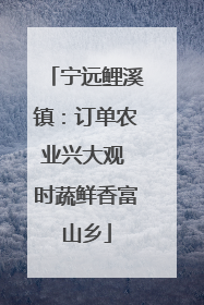 宁远鲤溪镇：订单农业兴大观 时蔬鲜香富山乡