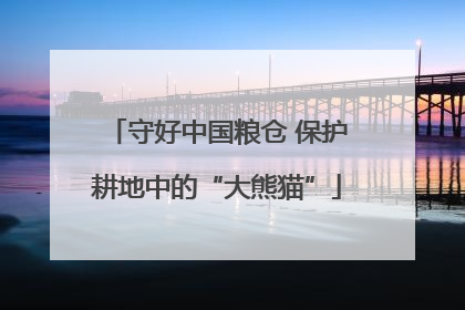 守好中国粮仓 保护耕地中的“大熊猫”