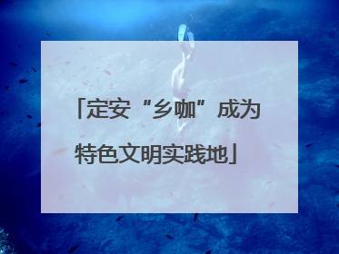 定安“乡咖”成为特色文明实践地