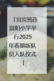宜宾筠连景阳小学举行2025年春期新队员入队仪式