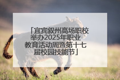 宜宾叙州高场职校举办2025年职业教育活动周暨第十七届校园技能节