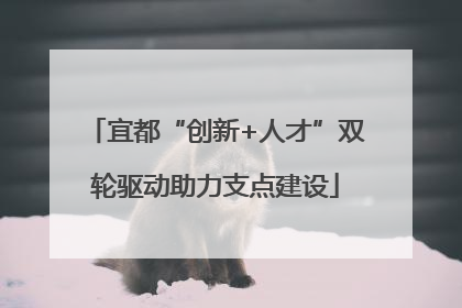 宜都“创新+人才”双轮驱动助力支点建设