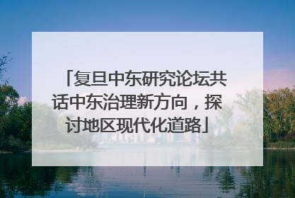 复旦中东研究论坛共话中东治理新方向，探讨地区现代化道路