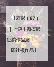 夏影（87）｜上游主题摄影征稿作品展——周社根作品
