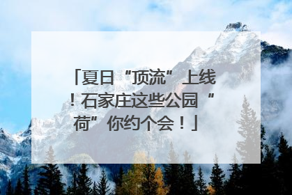 夏日“顶流”上线！石家庄这些公园“荷”你约个会！