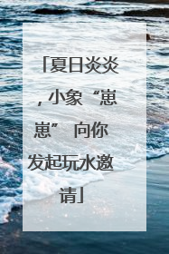 夏日炎炎，小象“崽崽” 向你发起玩水邀请