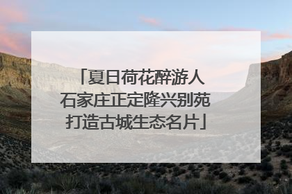 夏日荷花醉游人 石家庄正定隆兴别苑打造古城生态名片