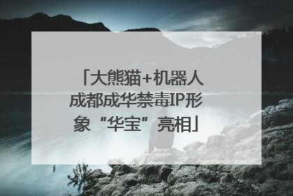 大熊猫+机器人 成都成华禁毒IP形象“华宝”亮相