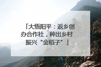 大悟阳平：返乡创办合作社，种出乡村振兴“金稻子”