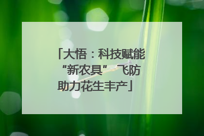 大悟：科技赋能“新农具” 飞防助力花生丰产