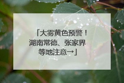 大雾黄色预警！湖南常德、张家界等地注意→