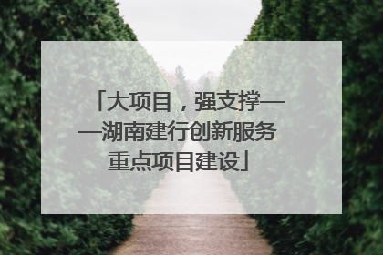 大项目，强支撑——湖南建行创新服务重点项目建设