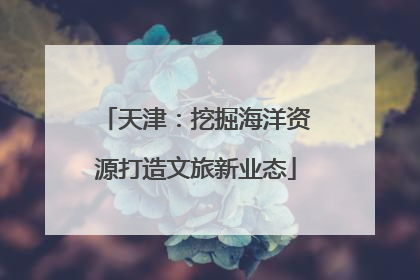 天津：挖掘海洋资源打造文旅新业态
