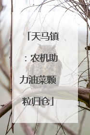 天马镇：农机助力油菜颗粒归仓