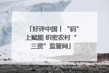 好评中国丨“码”上赋能 织密农村“三资”监管网