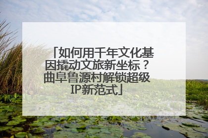 如何用千年文化基因撬动文旅新坐标？曲阜鲁源村解锁超级IP新范式