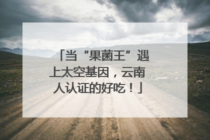 当“果菌王”遇上太空基因，云南人认证的好吃！