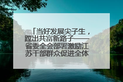 当好发展尖子生，蹚出共富新路子——省委全会部署激励江苏干部群众促进全体人民共同富裕