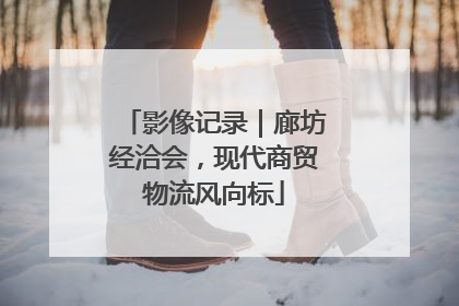影像记录｜廊坊经洽会，现代商贸物流风向标