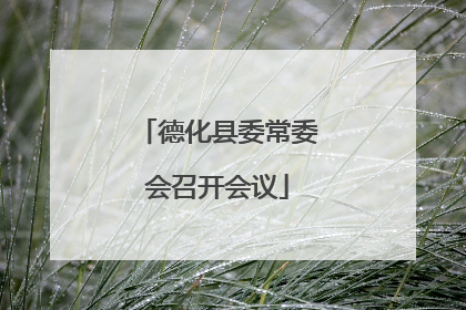 德化县委常委会召开会议