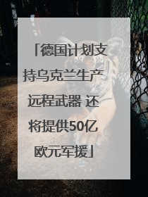 德国计划支持乌克兰生产远程武器 还将提供50亿欧元军援