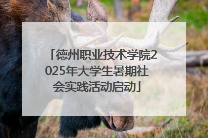 德州职业技术学院2025年大学生暑期社会实践活动启动