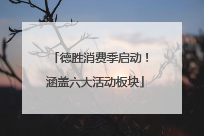 德胜消费季启动！涵盖六大活动板块
