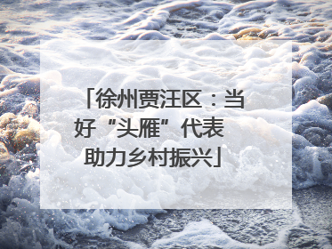 徐州贾汪区：当好“头雁”代表 助力乡村振兴