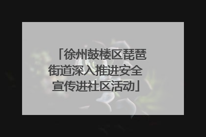 徐州鼓楼区琵琶街道深入推进安全宣传进社区活动