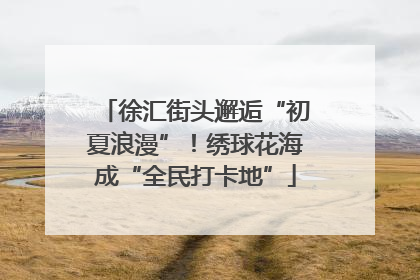 徐汇街头邂逅“初夏浪漫”！绣球花海成“全民打卡地”
