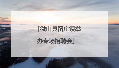 微山县留庄镇举办专场招聘会