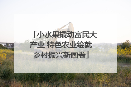 小水果撬动富民大产业 特色农业绘就乡村振兴新画卷